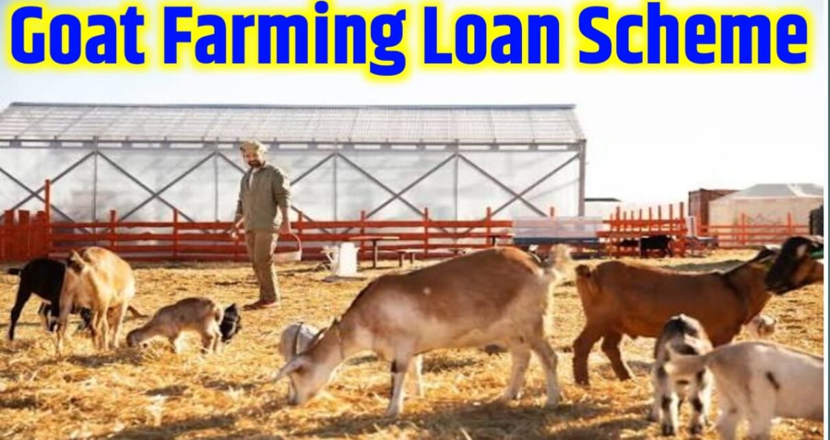 Goat Farming Loan Scheme in Hindi