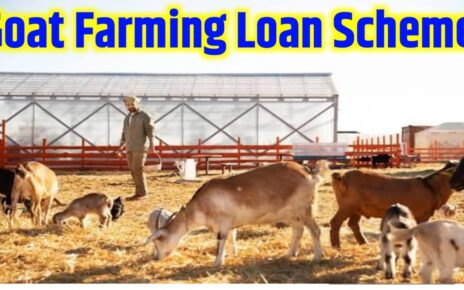 Goat Farming Loan Scheme in Hindi